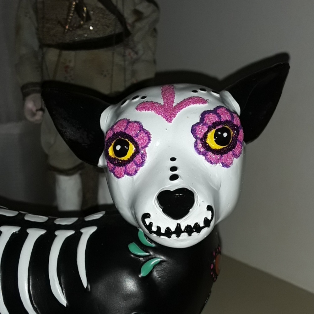 SOLD!! NWT Cute Dia deLos Muertos Halloween Chihua - Picture 3 of 7